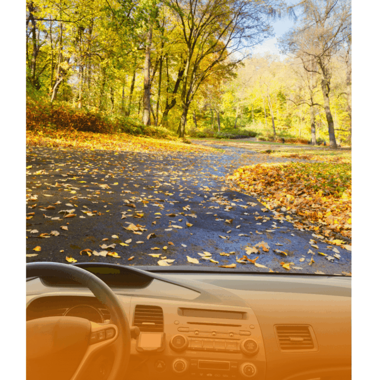 zdjęcie samochodu w jesiennym klimacie